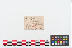 Etiketten zu Eisengürtelhaken (NHMW-PRAE-024029)